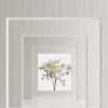 Eucalipto White - Image 2