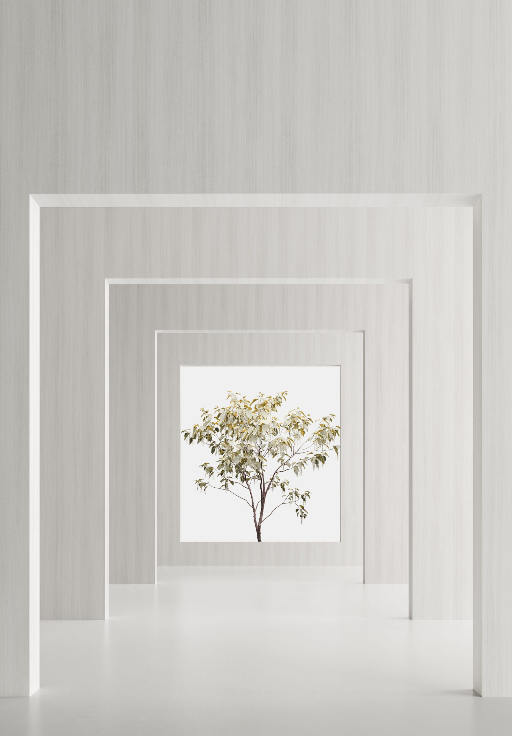 Ambiente Tovagliolo Lunch 33 x 33 cm, motivo