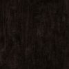Tiger Eye